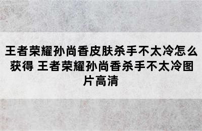 王者荣耀孙尚香皮肤杀手不太冷怎么获得 王者荣耀孙尚香杀手不太冷图片高清